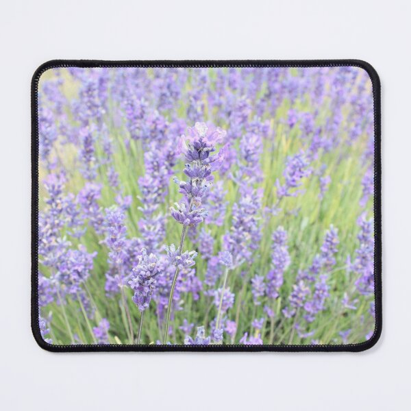 Item preview, Lavender field designed and sold by Laura Roman.