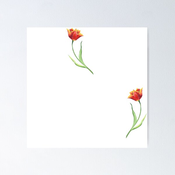 Item preview, Red tulips watecolor illustration for clothes or accessories. Botanical illustration designed and sold by Daryaamber10.