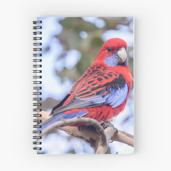 Item preview, Crimson Rosella 03 designed and sold by Werner Padarin.