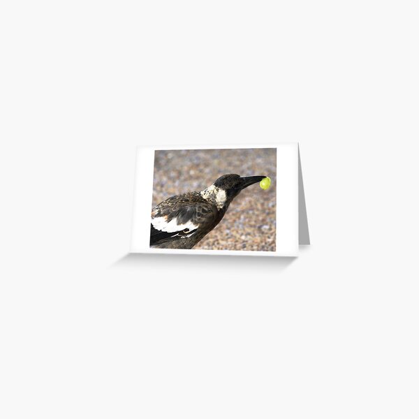 A bird with a Grape Greeting Card