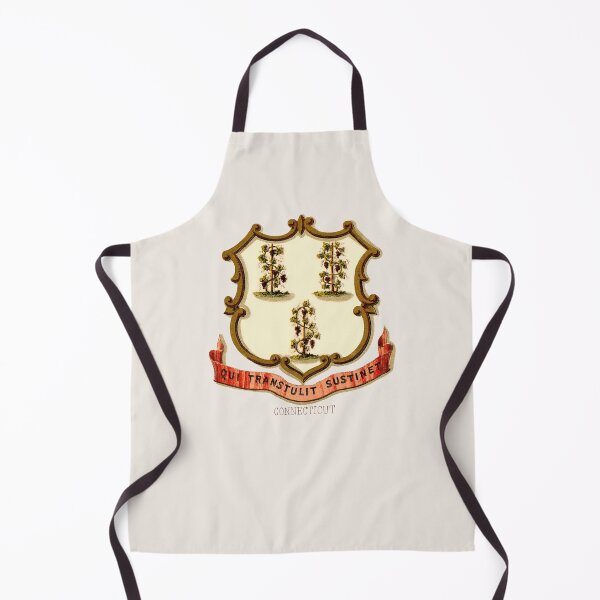 Item preview, 1876 Connecticut Coat of Arms designed and sold by historicimage.