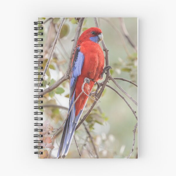 Item preview, Crimson Rosella 01 designed and sold by Werner Padarin.