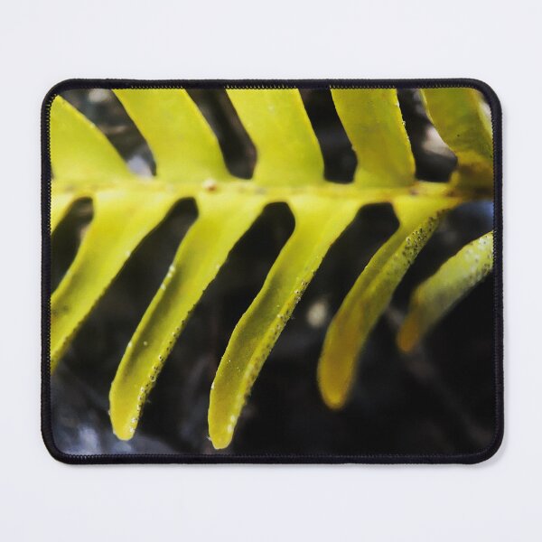 Item preview, Fern Up Close designed and sold by Jason Tompkins.