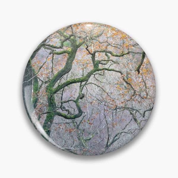Item preview, The End of Autumn in the Old Oak Wood designed and sold by AnitaNicholson.