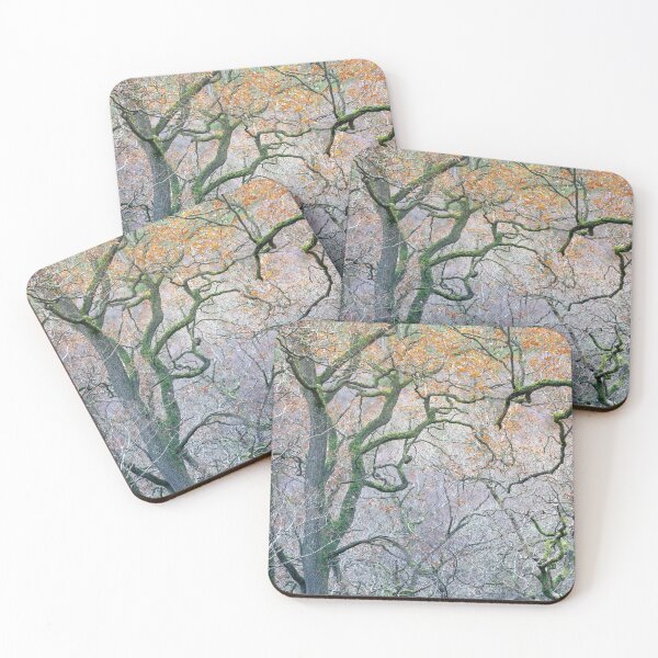 Item preview, The End of Autumn in the Old Oak Wood designed and sold by AnitaNicholson.