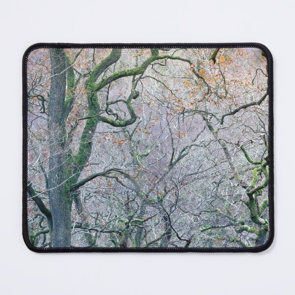 Item preview, The End of Autumn in the Old Oak Wood designed and sold by AnitaNicholson.