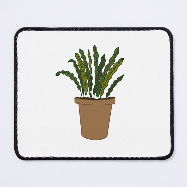 Item preview, Rattlesnake Calathea designed and sold by catabethh.