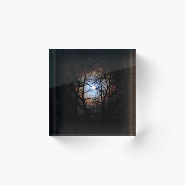 Artikelvorschau, Vollmond mit Ring durch Bäume entworfen und verkauft von PatchworkBird.