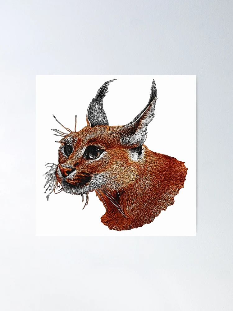 caracal head, cool big cat motifs