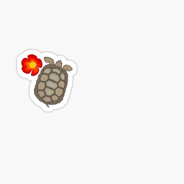 Juvenile Mojave Desert Tortoise & Apricot Globe Mallow Glossy Sticker