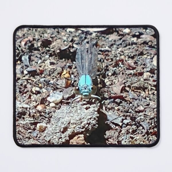 Item preview, Damselfly observing designed and sold by WHemporium.
