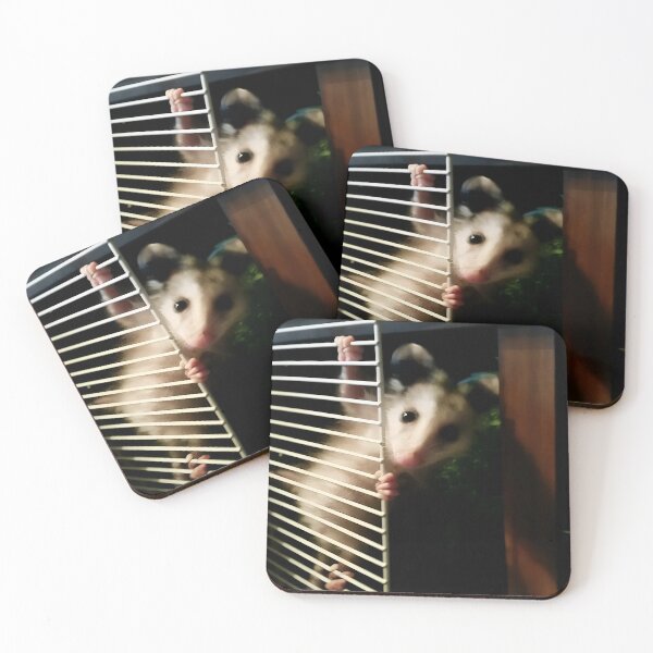 Item preview, Dishwasher Possum designed and sold by raspeed.