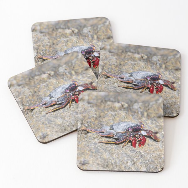 Item preview, The crab Grapsus adscensionis, on a rock at Tenerife, Spain designed and sold by Zosimus.