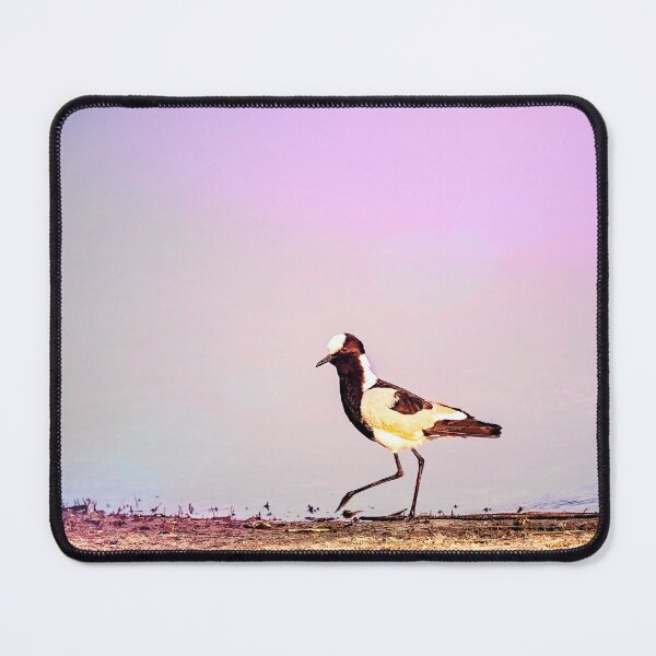 Item preview, Blacksmith Lapwing Glow designed and sold by Kay Brewer.