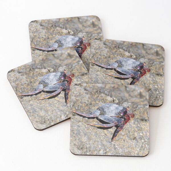 Item preview, The crab Grapsus adscensionis, on a rock at Tenerife, Spain designed and sold by Zosimus.