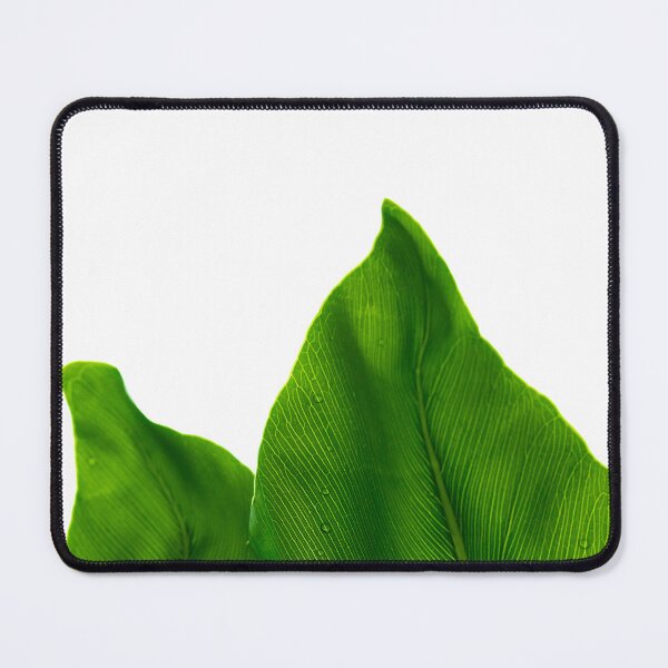 Item preview, Green Leaves with Dew Drops: A Nature Macro Photography Design designed and sold by nachodramis.