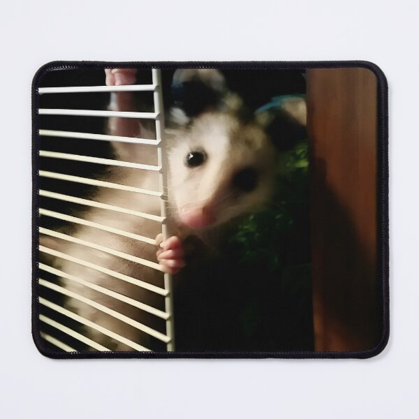 Item preview, Dishwasher Possum designed and sold by raspeed.