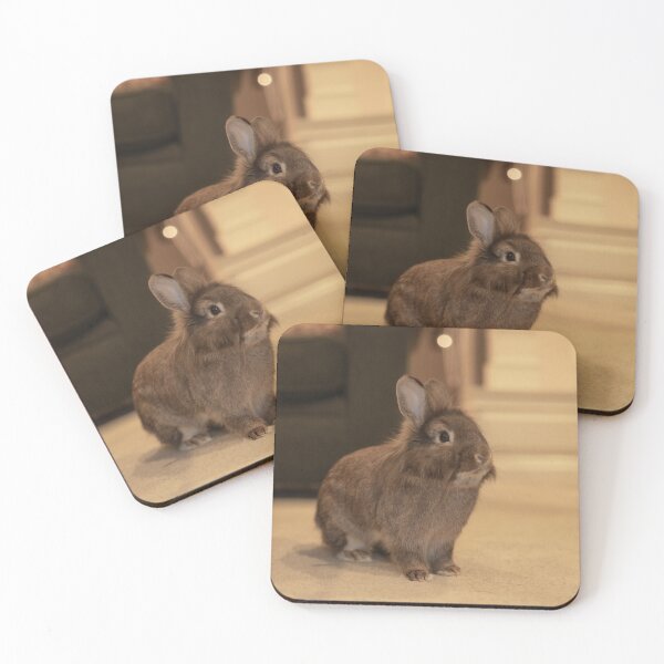 Item preview, Jack the Bunny designed and sold by mal-photography.
