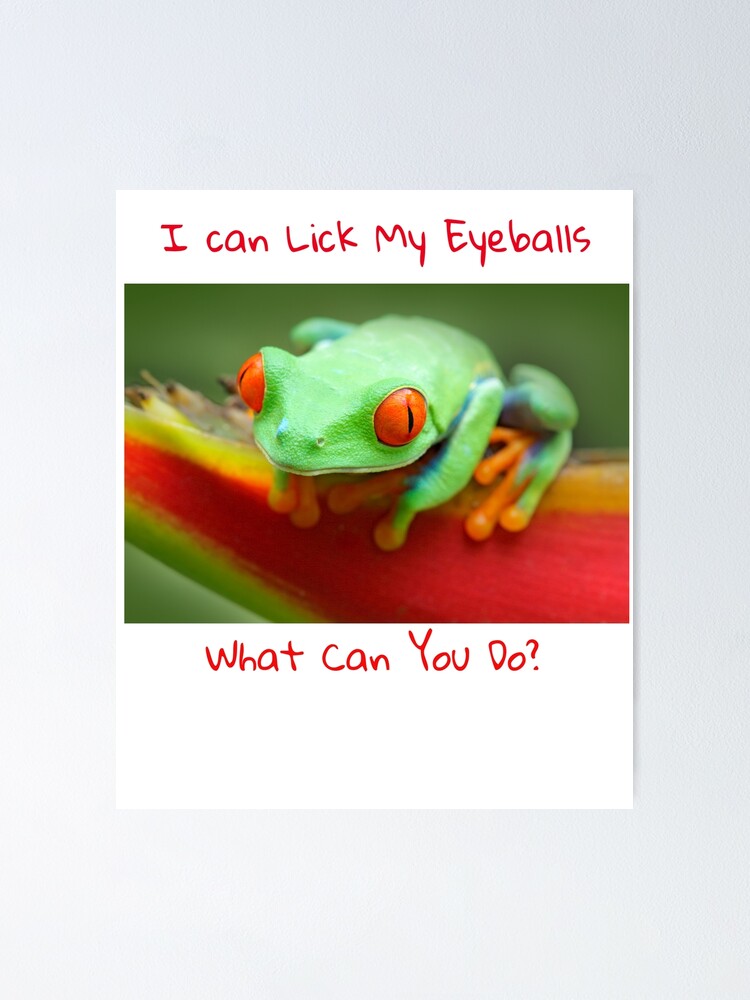 "I Can Lick My Eyeballs What Can You Do Frog" Poster by OfferHeat