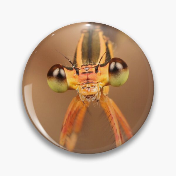 Item preview, Black-kneed Featherleg Damselfly 2 designed and sold by itchydogimages.