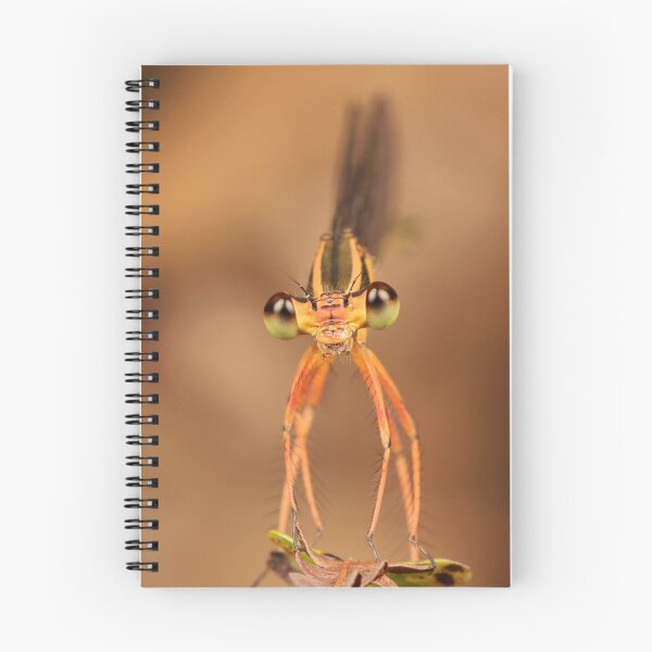 Item preview, Black-kneed Featherleg Damselfly 2 designed and sold by itchydogimages.