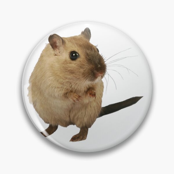 Item preview, Gerbil Portrait: Photo Cutout designed and sold by EmeraldeaArt.