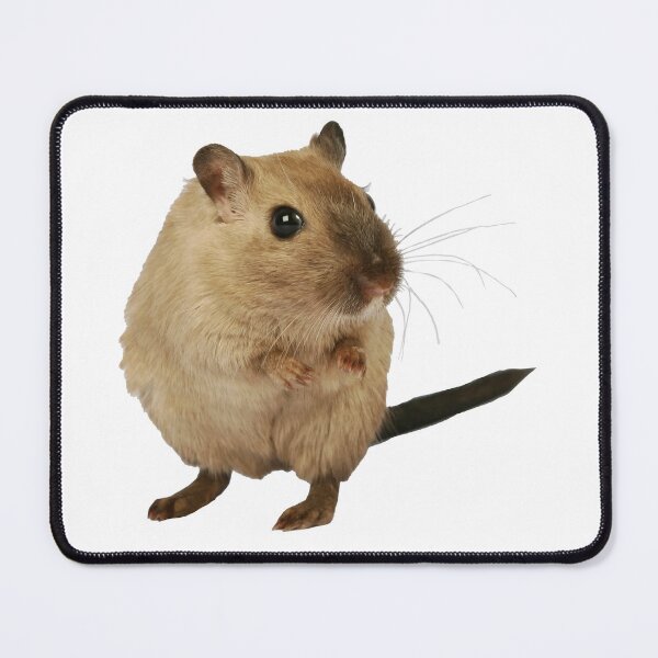 Item preview, Gerbil Portrait: Photo Cutout designed and sold by EmeraldeaArt.
