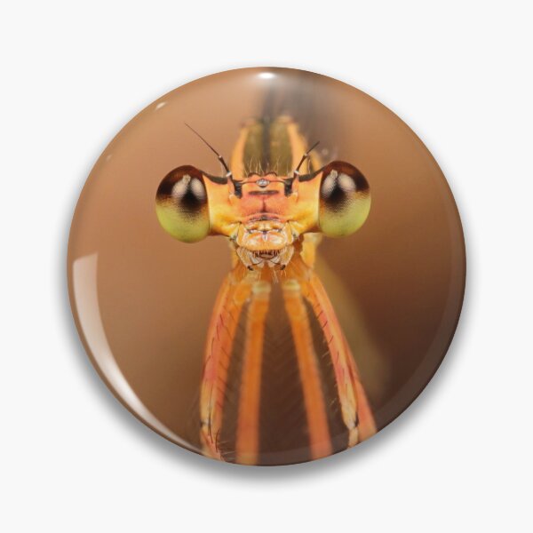 Item preview, Black-kneed Featherleg Damselfly 1 designed and sold by itchydogimages.