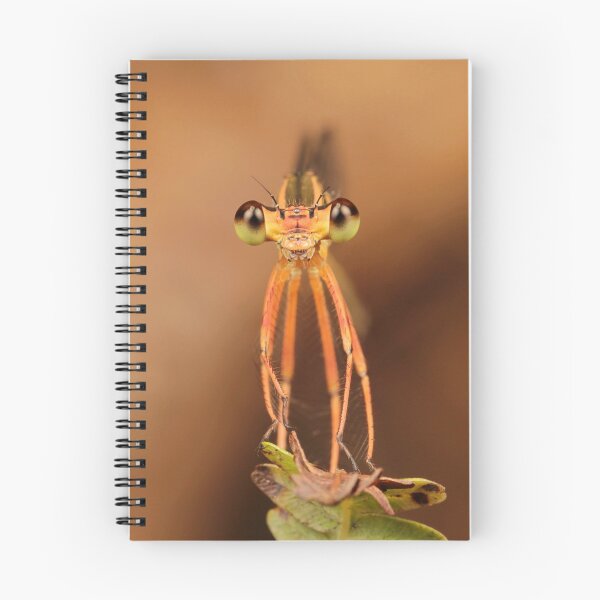 Item preview, Black-kneed Featherleg Damselfly 1 designed and sold by itchydogimages.