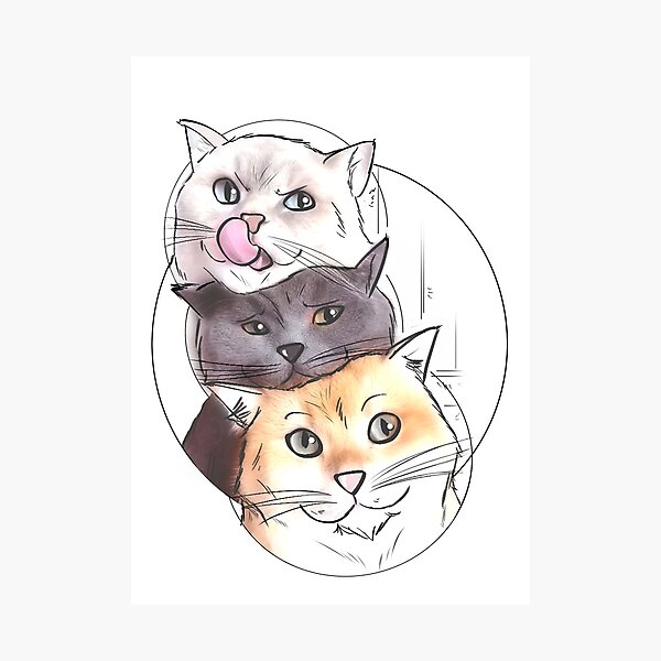 Item preview, cats cats cats designed and sold by Dragaodemadeira.