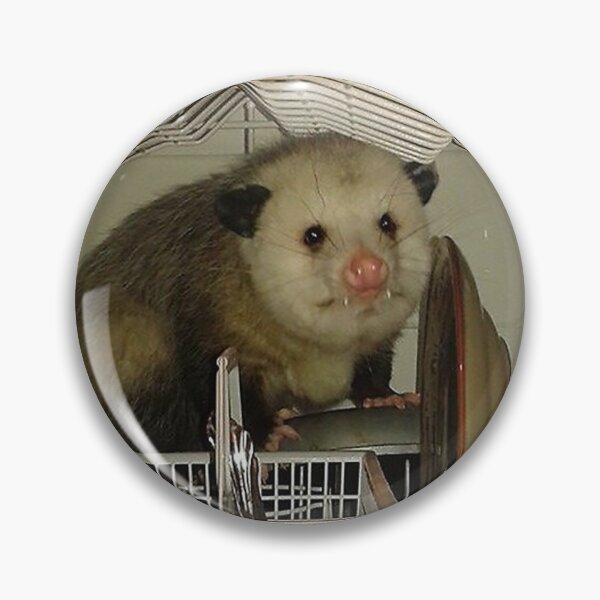 Item preview, Dishwasher Possum designed and sold by raspeed.