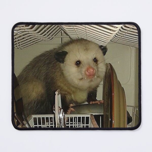 Item preview, Dishwasher Possum designed and sold by raspeed.