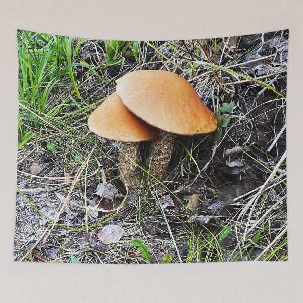 Item preview, Wild Toadstool designed and sold by Image-Prints.