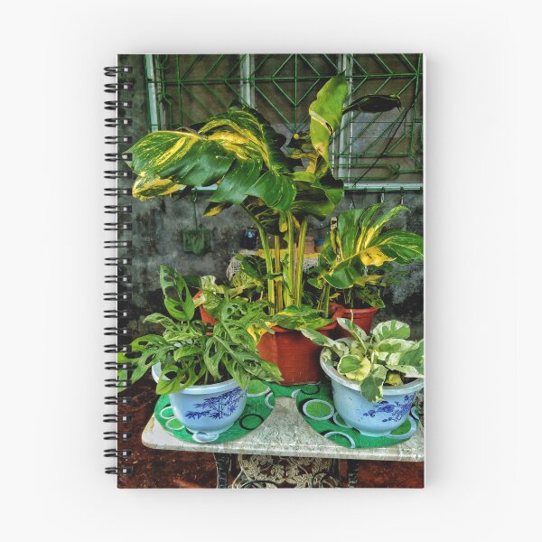 Item preview, Nature in rural setting designed and sold by Omsim123.
