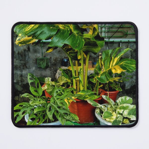 Item preview, Nature in rural setting designed and sold by Omsim123.