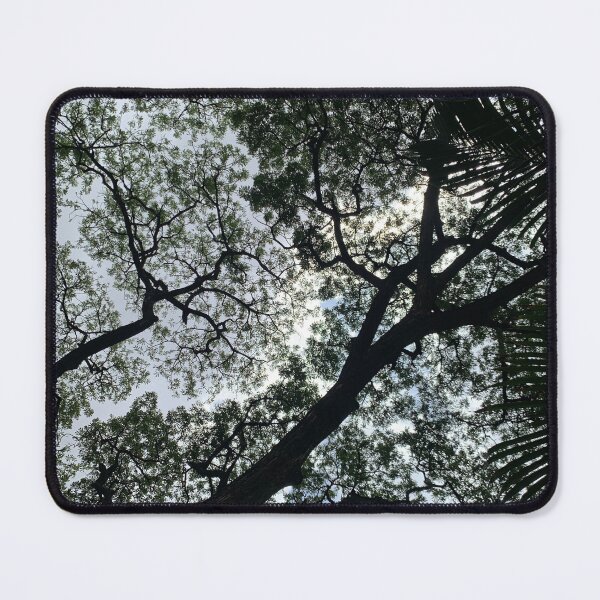 Item preview, Black shadow under the tree, cool fresh of nature designed and sold by pipikijung.