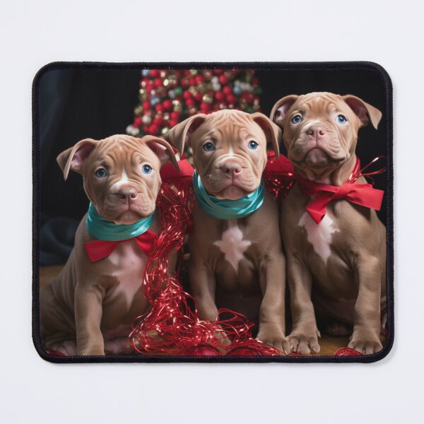 Item preview, Christmas Pitt Bull Puppies designed and sold by Samuelsboro.