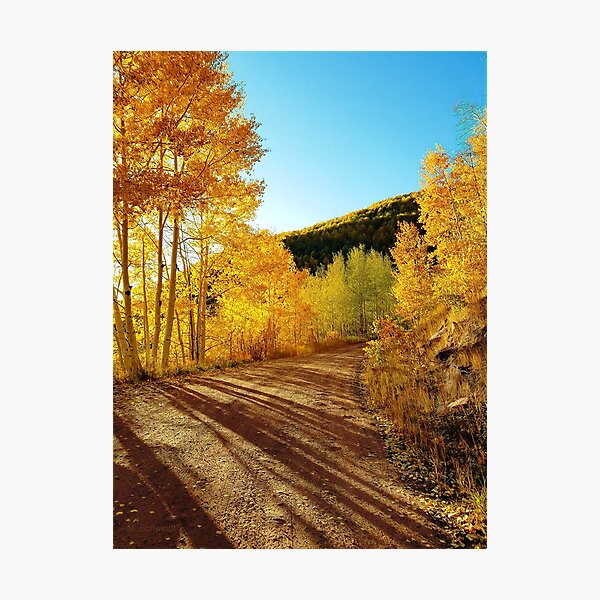 Item preview, Autumn colors in the Colorado Mountains designed and sold by MarySchwindt.