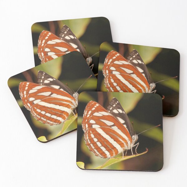 Item preview, Common Sailer  designed and sold by itchydogimages.