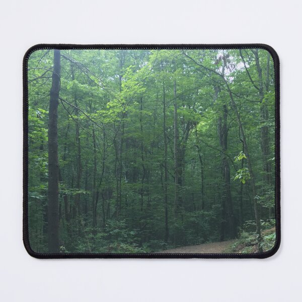 Item preview, Forest Path designed and sold by KayArtandPencil.