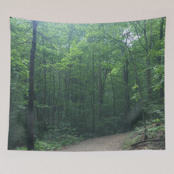 Aperçu de l'œuvre Chemin forestier créée et vendue par KayArtandPencil.