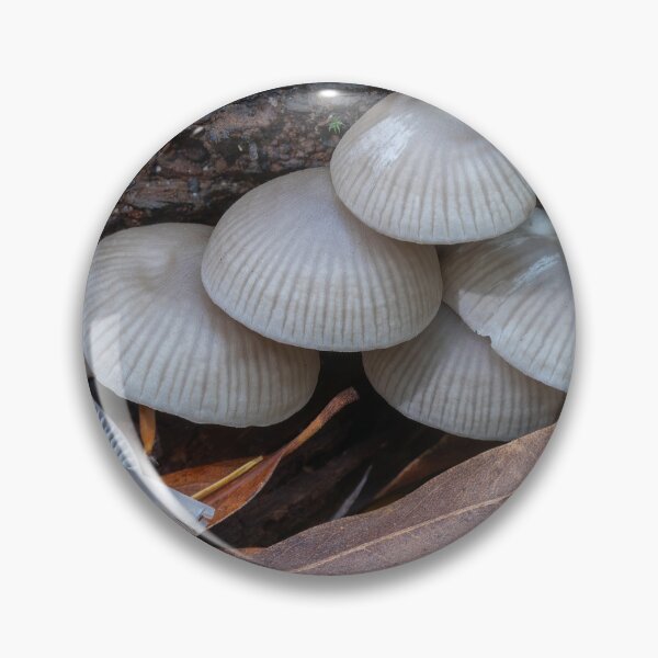 Item preview, Mycena mushrooms growing on rotting wood. designed and sold by yhelfman.