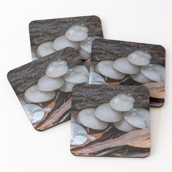 Item preview, Mycena mushrooms growing on rotting wood. designed and sold by yhelfman.