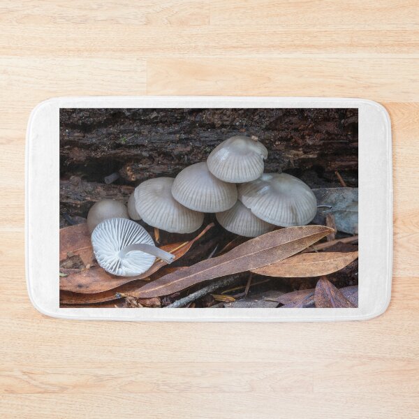 Item preview, Mycena mushrooms growing on rotting wood. designed and sold by yhelfman.
