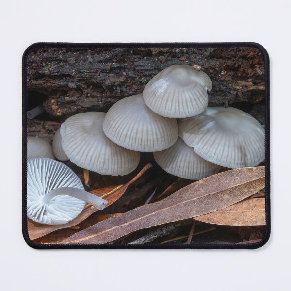 Item preview, Mycena mushrooms growing on rotting wood. designed and sold by yhelfman.