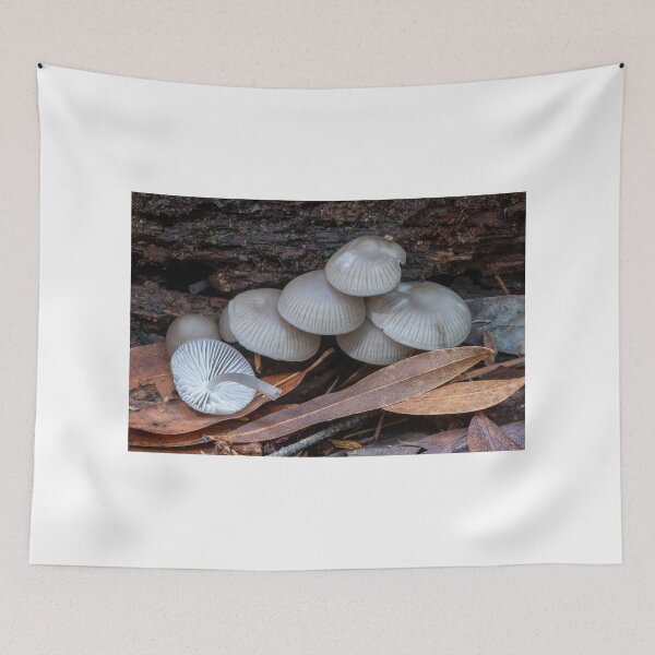 Item preview, Mycena mushrooms growing on rotting wood. designed and sold by yhelfman.