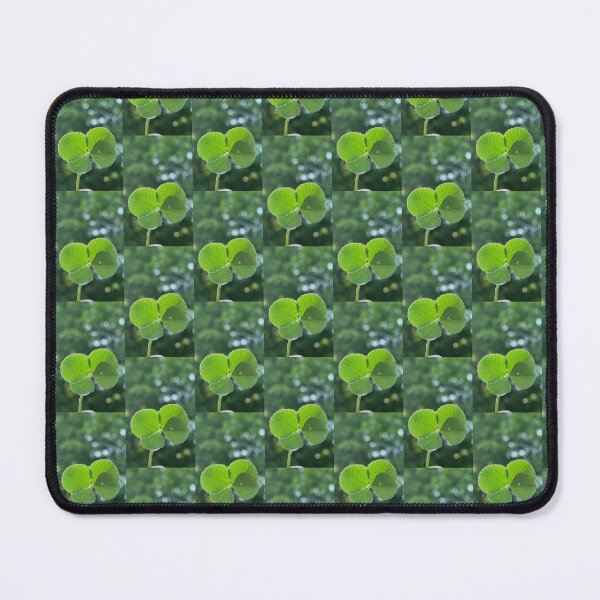 Item preview, Four leaf clover in the morning sun designed and sold by Treasurebilia.