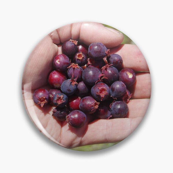 Item preview, Handful of Saskatoon Serviceberry designed and sold by The Botanical Jason.