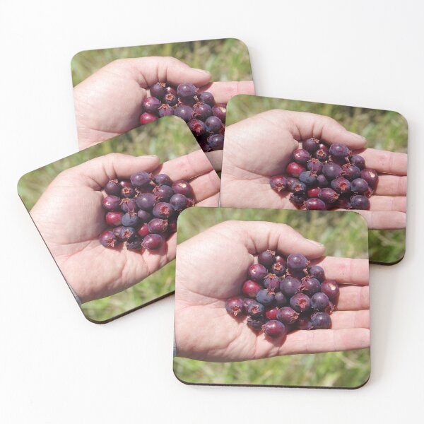 Item preview, Handful of Saskatoon Serviceberry designed and sold by The Botanical Jason.