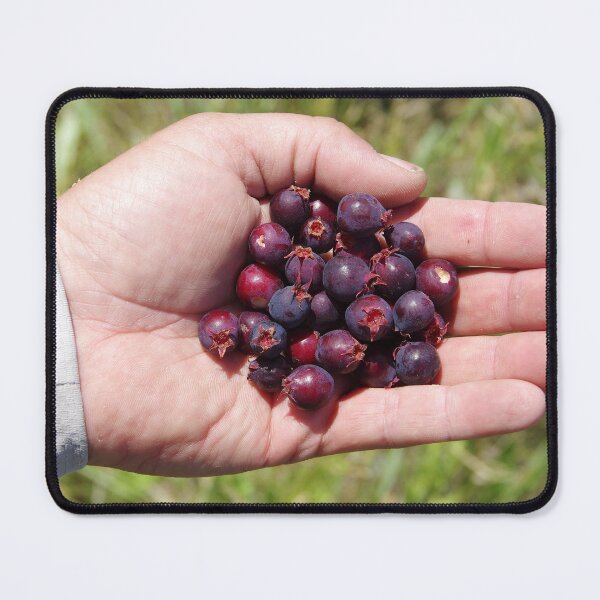 Item preview, Handful of Saskatoon Serviceberry designed and sold by The Botanical Jason.